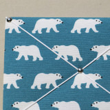 Pèle-mêle Ours polaires