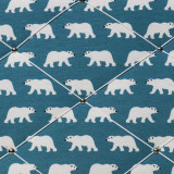 Pèle-mêle Ours polaires