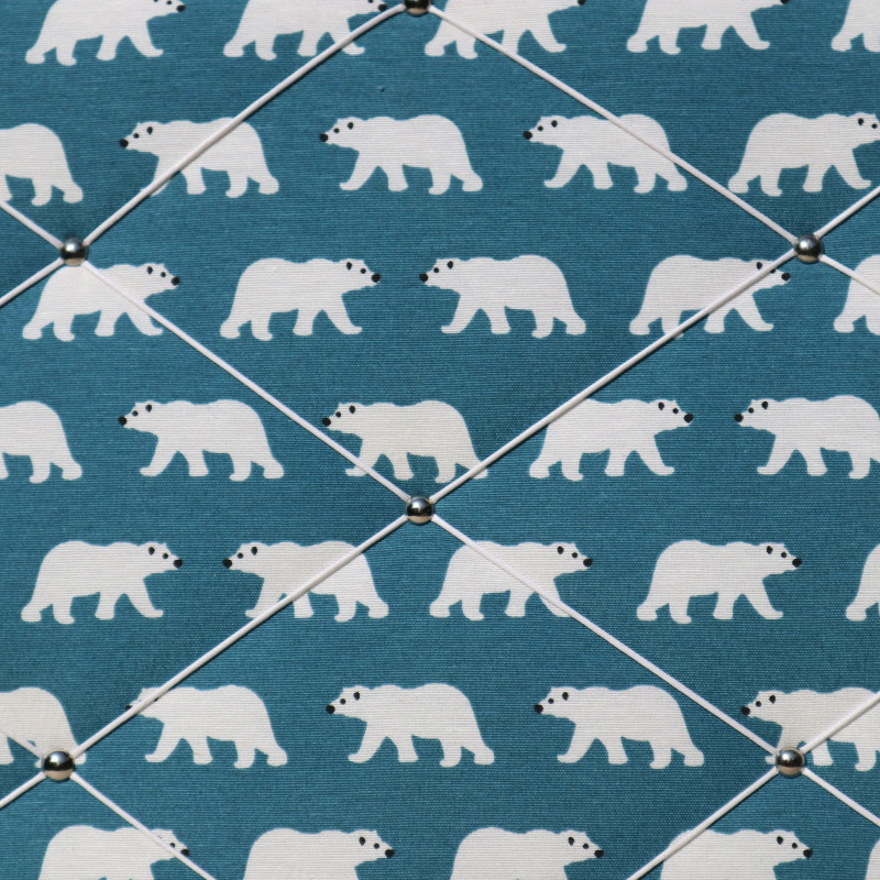 Pèle-mêle Ours polaires