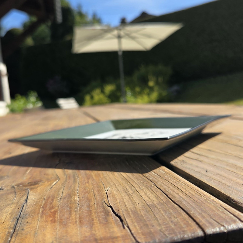 Vide-poches en porcelaine, décor ours, vert et noir